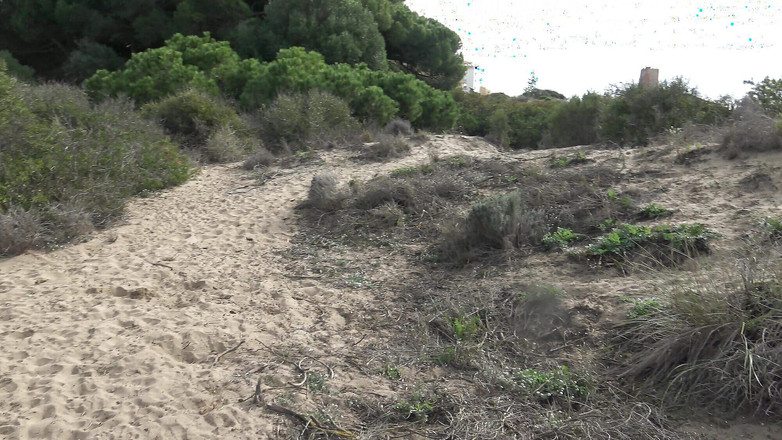 Stepmom Susan: Můj nevlastní syn mě sleduje, aby viděl, jak chčiju z...