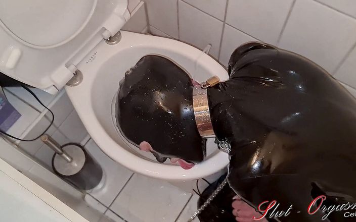 Slut Orgasma Celeste: Sklavenschlampe - orgasma celeste in Latex, pisse trinken und toilettenreinigung