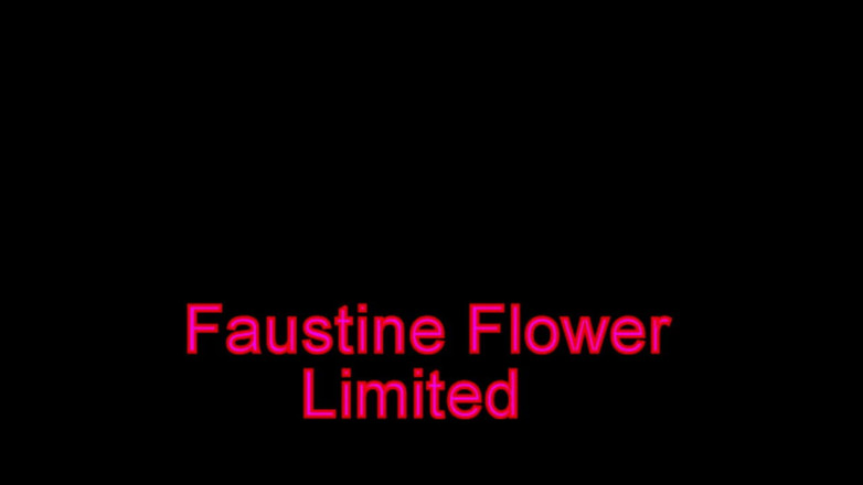 Faustine: Кроссдрессер Фаустин позвонил парню.