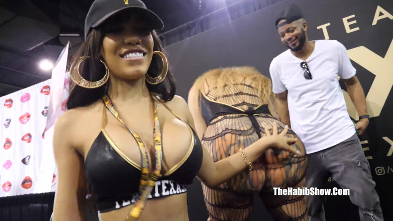 The Habib Show: Exxxotica Chicago 2018