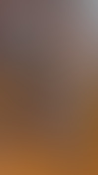 Italian Bear and Wolf Passionate Flip Fuck