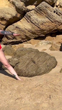 Sjambok pe plajă. Vacanța de vară în Africa de Sud partea 1