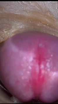 Compilation De Creampies, Partie 1, POV