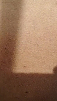 Desi Sex Couple