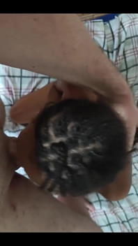 Sumisa complaciendo a su maestro con una mamada