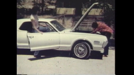 Vintage Megastore Full hd: Die Schweinesprache