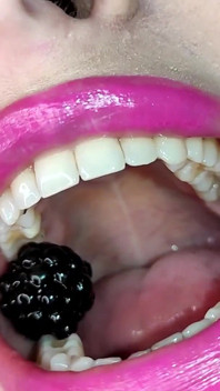 Mouth Tour