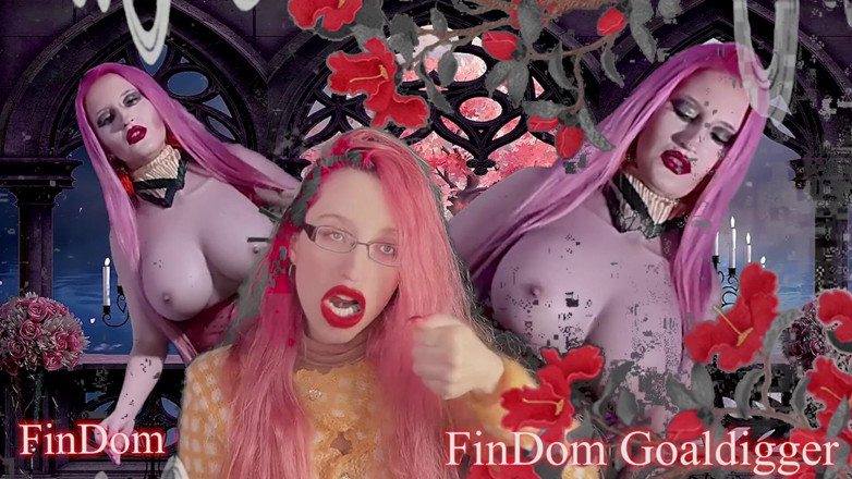 FinDom Goaldigger: Niewolnik do szarpania transformacji!