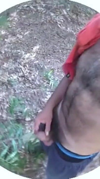 In the Woods