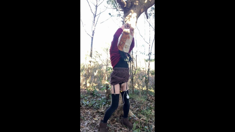 megu2002: 調教師様の調教　no101　野外で目隠しローター調教