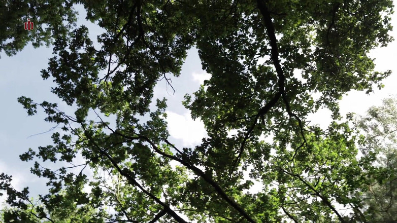 Inquisition and prison world: Rumah Tamu - Bab 2 - Cahaya dan Kegelapan