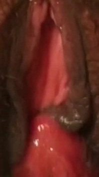 Heiße Latina Schlampe - Blowjob - Anal