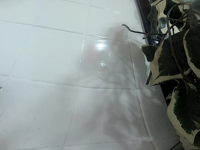 Lizzy Yum VR: Lizzy Yum VR 2025 Edging #198