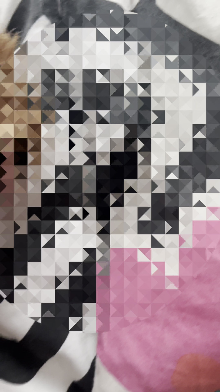 SashMash: Moglie in lattice con marito mascherato