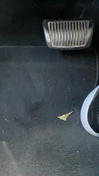 Pedał pompowania w butach tenisowych przez Ivys Feet