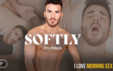 Virtual Real Gay: Softly