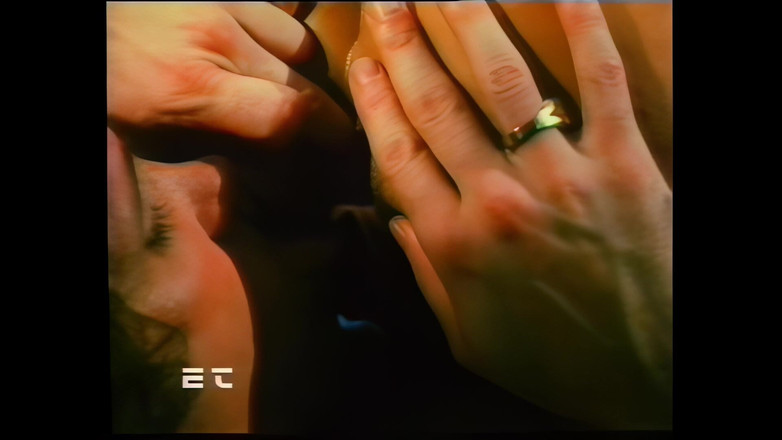 Rocco Siffredi and Friends: Behaarte Schwänze Und Muschien