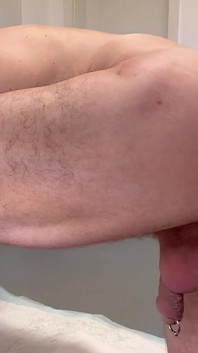 Pied - 1