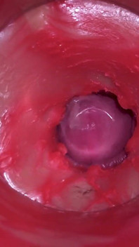 Kamera uvnitř kundičky: Silné sperma v kundičce! Nejlepší vnitřní asmr
