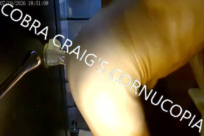 COBRA CRAIG: 7-19-2026 prends-la dans un cobra facile
