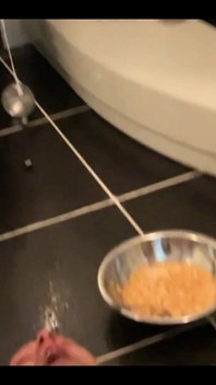 Senhorita Alessa Milano alimentando meu escravo do banheiro