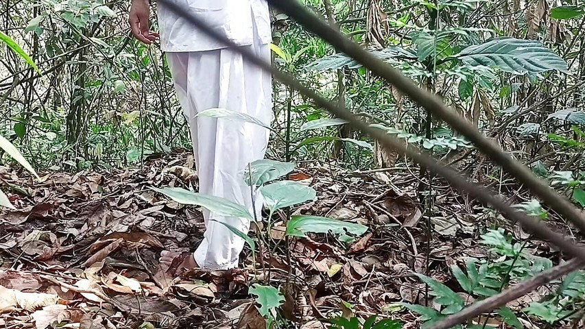 A Journey Through the Wilderness (Anjaliraj) A Journey Through the Wilderness (Anjaliraj)