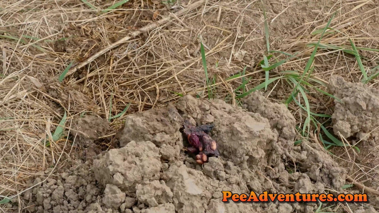 Pee Adventures: Parler et pisser dans la nature