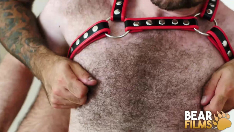 Bear Films: BEARFILMS - ursul păros Atlas Grant raw o fute pe Harper...