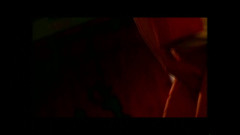 FM Video films: 珍娜·詹姆森收藏 - （原版完整版电影未删减版）