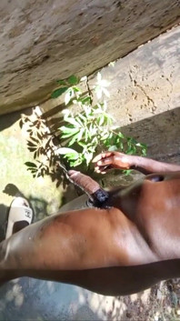 Horny and Hard