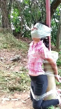 Nancy Drew's Outdoor Bondage Adventure