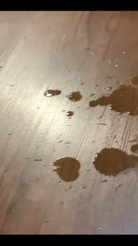 Show Us Your Cumshot on Floor