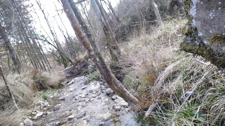 Elvissc: Pohledný dává perfektní výstřik z pěkného velkého tvrdého péra plivat...