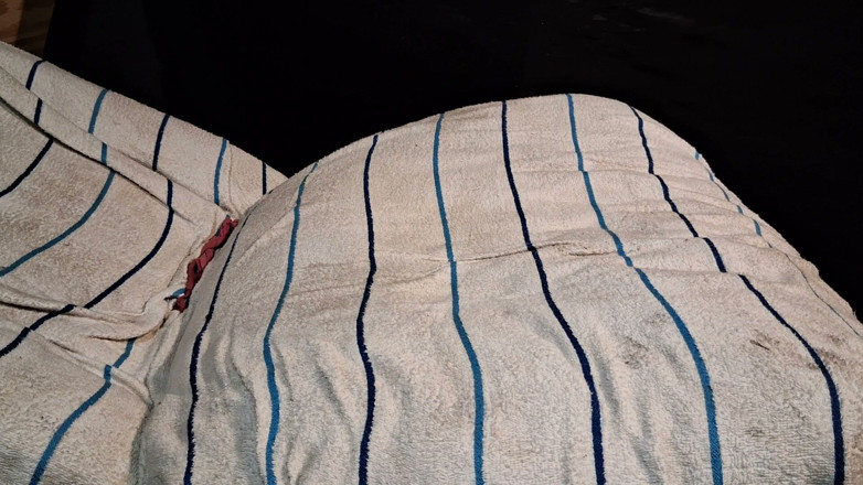 letswhackourwieners: Oops You Can See My Wiener