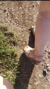 Naturistenwandeling in het bos