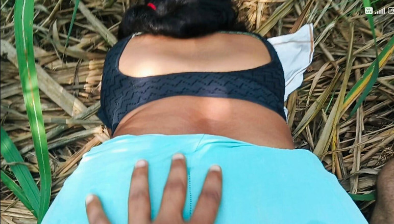 Desistepsis: 屋外アナルセックス