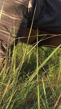 Peeing in the Grass in a Meadow
