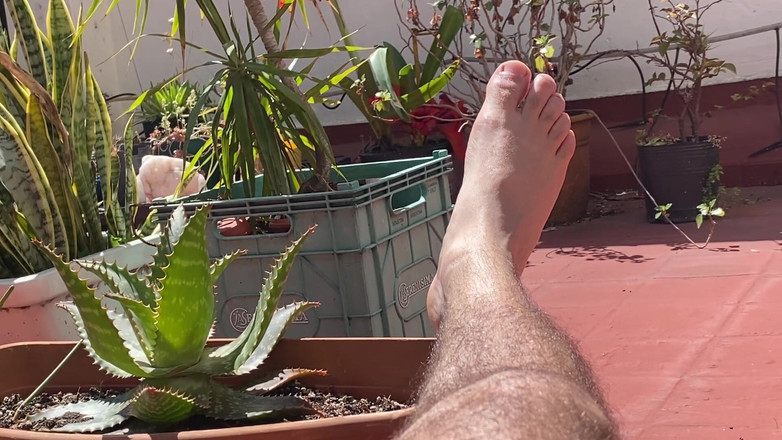 Placer_macho: Na mé terase, odpočívám od pracovního dne