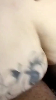 PAWG Being a Freaky Cowgirl with This BBC