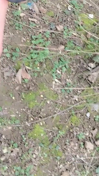 Ejaculare riscantă după masturbare la locul de muncă, ejaculare