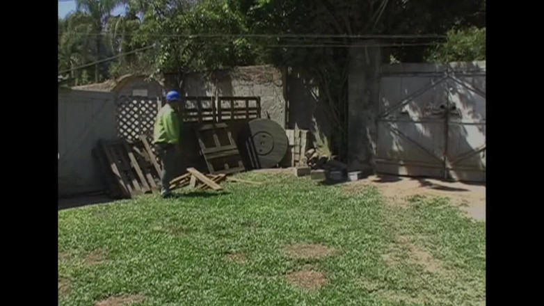 Mans art: Gorilla's in fetisj buitenshuis neuken