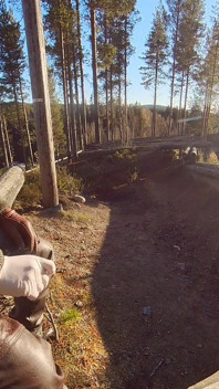 Fumând în Forrest