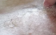 Cock Morning Meditation with Hairyartist