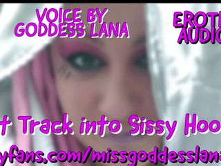 Campsissyboi: Vía rápida en solo audio de mariquita con capucha