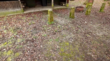 Bouncy Tits Action: Naked Cunt Pounding on the Picnic Table