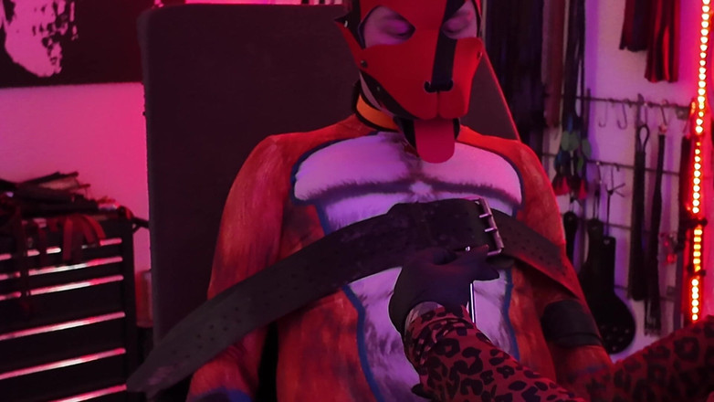 Domina Dark: Curvă Shakkis Fox pula