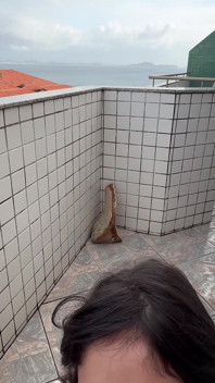 Extraño en la terraza tragando leche