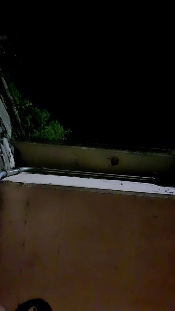 Slutboyben: Slutboyben Cam4 Sexig cruising chick II