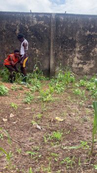 Agricultural Practice