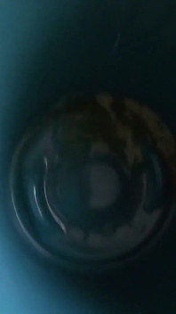 BBW Goddess Pee Bucket